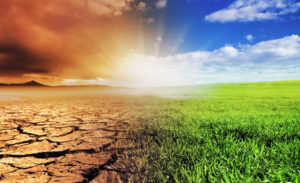 macron-trump-climat-developpement-durable-accords-paris