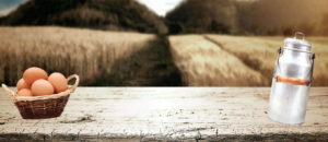 featured-newsletter-business-11-dec-2017-1