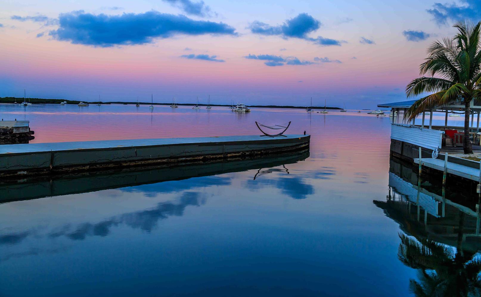 nl-bus-13-mars-2018-alexy-p-featured