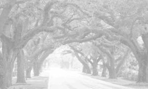 appartements-luxe-merrick-manor-coral-gables-astor-companies-email-partenaire-avril-2018